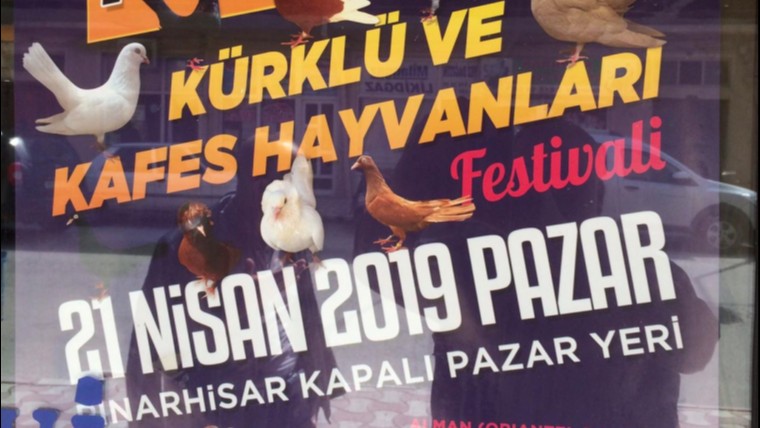 3.Kürklü ve Kafes Hayvanları Festivali