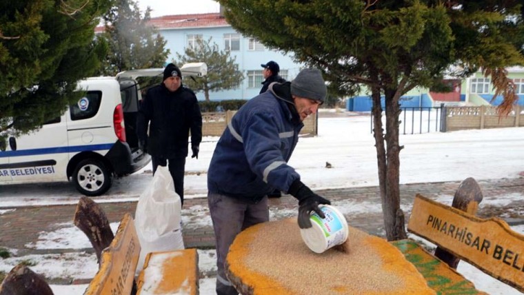 Sokak Hayvanlarımıza Zabıtamızdan Yiyecek Ve Su Temini