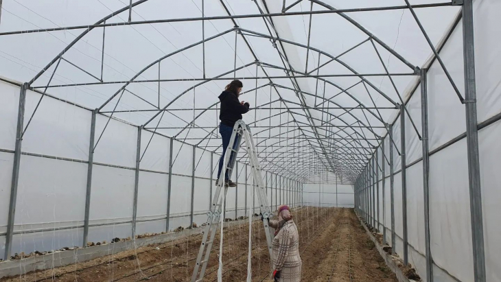 Seralarımızdaki ilk tohumlar yeşerdi