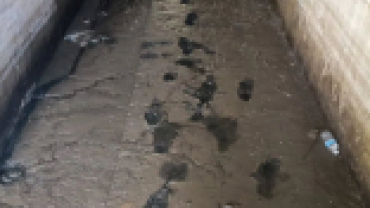 Ataköy köyümüzde kanalizasyon ana hattında meydana gelen tıkanıklık nedeniyle ekiplerimiz tarafından gerekli müdahale hızlı bir şekilde gerçekleştirilmiştir.