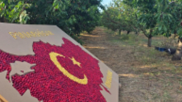Pınarhisarımızın bereketli topraklarında emekle, alın teriyle üretim yapan tüm çiftçilerimizin her zaman yanındayız.