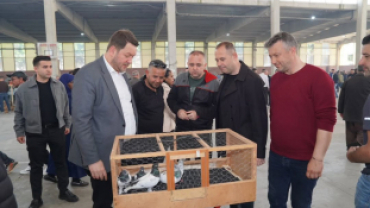 Pınarhisar Kapalı Pazar Yerimizde gerçekleştirilen festivalde, birbirinden özel kümes ve kafes hayvanları sergilendi.