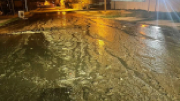 WhatsApp ihbar hattımıza gelen şikâyetler doğrultusunda;