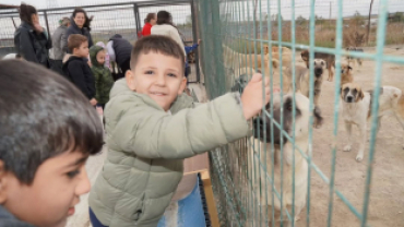 Yıldız Anaokulu minikleri, velileri ve öğretmenleriyle birlikte Hayvan Bakım ve Gözlem Merkezimizi ziyaret ettiler.